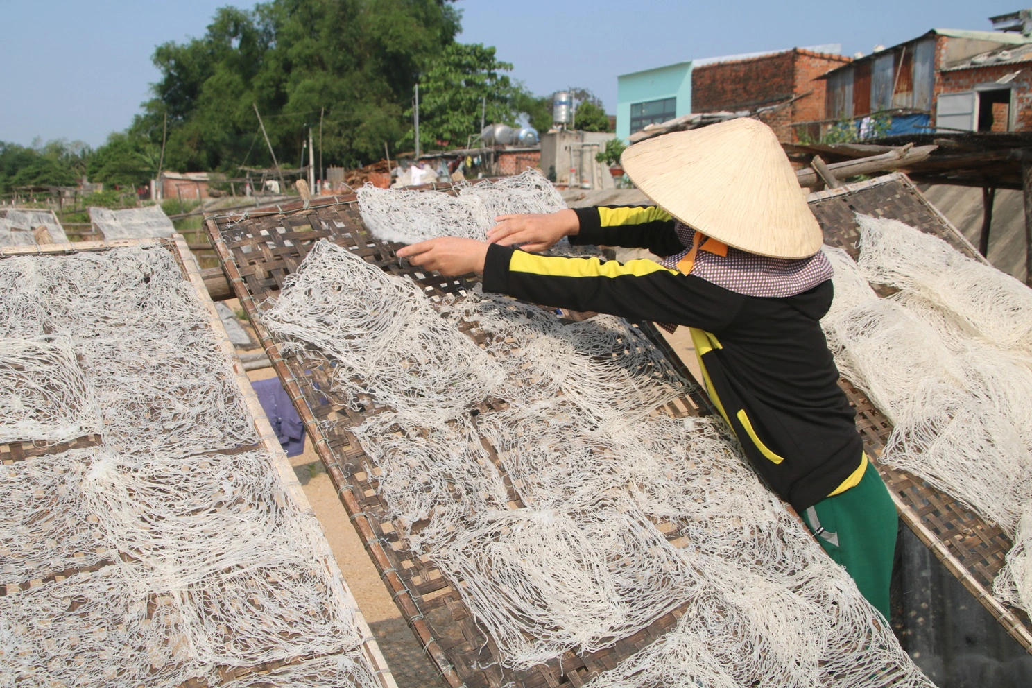 Ngoài sản xuất bún Song Thằn, người dân làng An Thái còn tập trung làm các loại bún khô, bún gạo bột mì, các loại bánh phở, bánh tráng… 