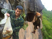 Tin tức - Thanh niên băng rừng lội suối để "săn vàng", bỏ túi chục triệu đồng nhờ loài côn trùng chăm chỉ nhất thế giới