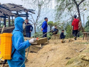 Sức khỏe - Bộ Y tế lý giải vì sao thi thoảng lại có ca mắc và tử vong do bệnh bạch hầu, liệu có bùng phát thành dịch?