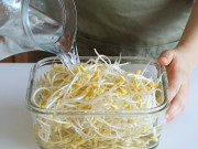 Sức khỏe - Vụ 2.900 tấn giá đỗ ngậm hoá chất tuồn ra thị trường: Loại nước "kẹo" hít phải dễ viêm phổi, ăn vào gây dị tật thai nhi…