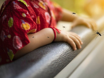 Hà Nội ghi nhận hơn 280 ca sốt xuất huyết, còn 39 ổ dịch lưu hành: Chuyên gia chỉ cách phòng bệnh hiệu quả