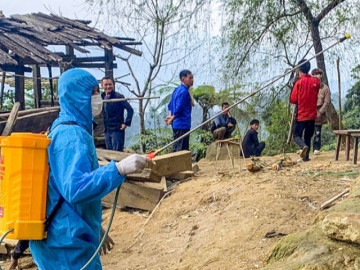 Sức khỏe - Bộ Y tế lý giải vì sao thi thoảng lại có ca mắc và tử vong do bệnh bạch hầu, liệu có bùng phát thành dịch?