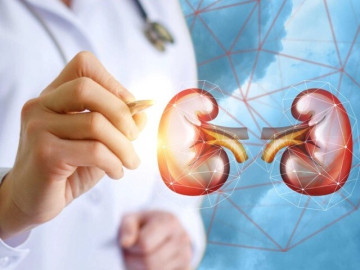 Dấu hiệu nào cảnh báo thận đang kêu cứu? Có hai tín hiệu dễ thấy vào buổi sáng nhưng nhiều người lười quan sát