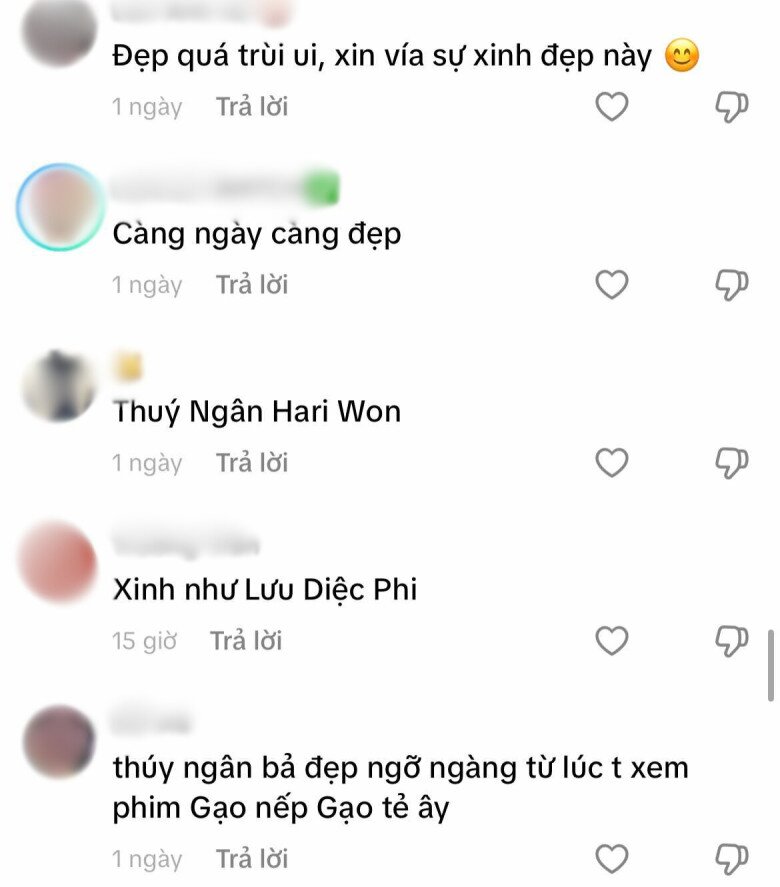 Người đẹp Cai Lậy tuổi 33 được khen đẹp ngang ngửa Lưu Diệc Phi, sắc vóc ngày càng thăng hạng - 2