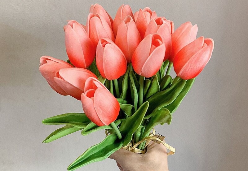 Hoa tulip biểu tượng của sự hoàn hảo, tình yêu và lòng tôn kính. Hoa tulip cũng được xem là một lời chúc may mắn và thành công, đồng thời mang lại sự tươi mới và năng lượng tích cực, phù hợp để tặng thầy cô vào dịp 20/11.