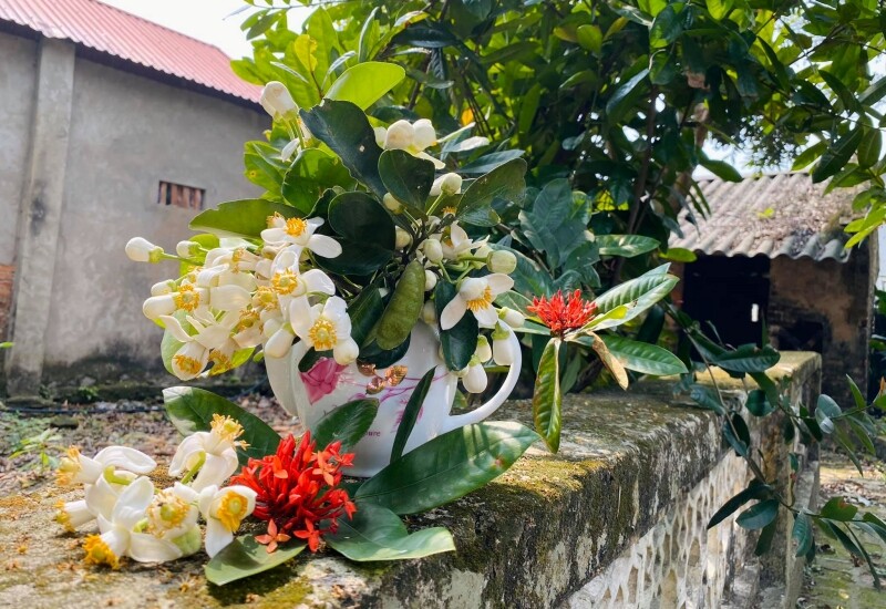 "Hoa bưởi không rực rỡ sắc màu nhưng có màu trắng trong veo và mang mùi thơm thanh nhẹ. Đó là mùi hương của sự bình yên. Chỉ cần vài nhánh hoa bưởi trong nhà là mùi thơm dịu đã phảng phất khắp không gian rồi", mẹ đảm cho hay. 