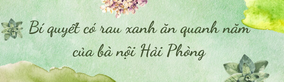 Bà nội Hải Phòng làm vườn trên sân thượng 60m2, vừa trồng thủy canh vừa trồng đất, chia sẻ bí quyết có rau ăn quanh năm - 7