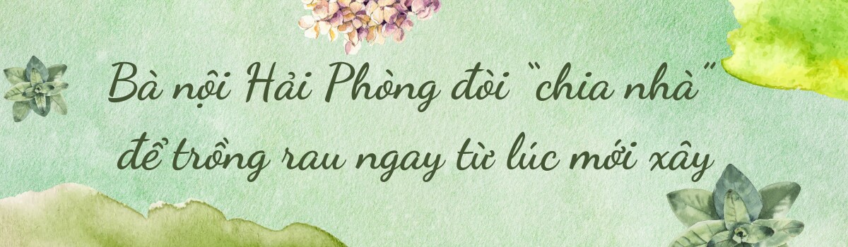 Bà nội Hải Phòng làm vườn trên sân thượng 60m2, vừa trồng thủy canh vừa trồng đất, chia sẻ bí quyết có rau ăn quanh năm - 1