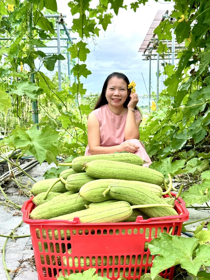 Cô dâu Việt được mẹ chồng Nhật cho 10.000m2 đất, làm vườn trồng rau củ xanh tốt quanh năm, quả mùa nào cũng có - 2