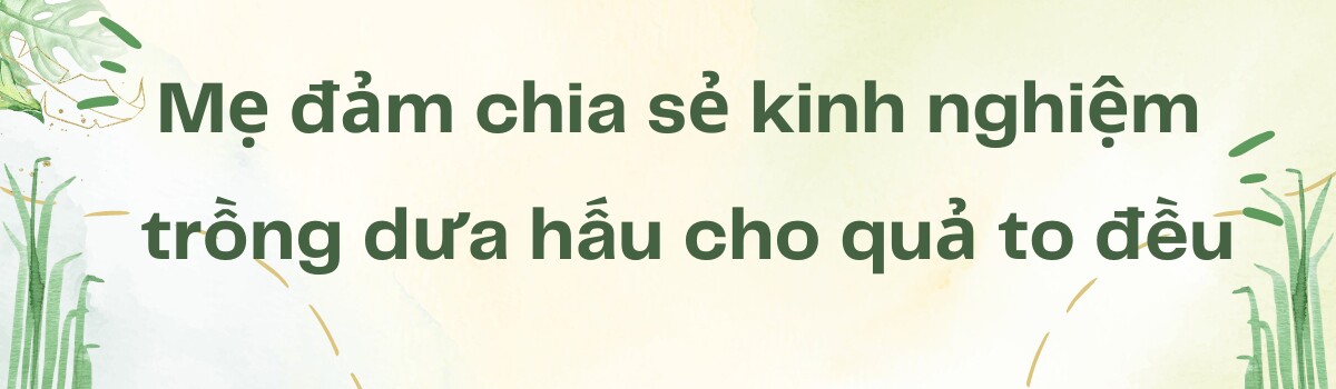 Mẹ đảm Sài Gòn làm vườn dưa hấu trên sân thượng 50m2, chia sẻ cách ...