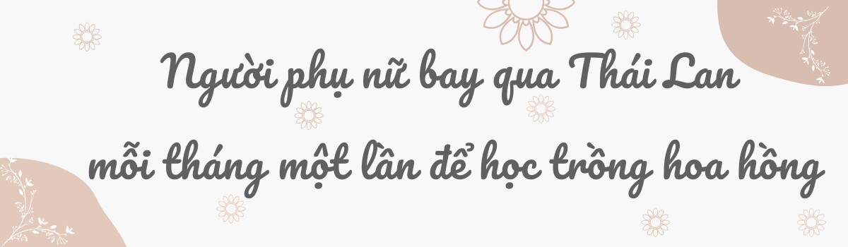 Mẹ Việt ở Úc phủ kín hoa trong mảnh vườn 500m2: 100 gốc hồng rực rỡ sắc hương, hoa ly thơm cao tới 2m - 1