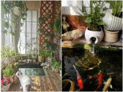 Nhà đẹp - Cô vợ 9X xây ao cá ở ban công, chồng nhìn cảnh sắc 4 mùa mà mê mệt