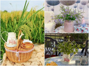 Nhà đẹp - Ngắm những bình hoa 0 đồng của mẹ đảm Hà Nội: Hoa kinh giới, hoa bờ rào vào bình đều "lên đời" chẳng kém hoa ngoại