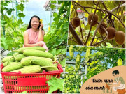 Nhà đẹp - Cô dâu Việt được mẹ chồng Nhật cho 10.000m2 đất, làm vườn trồng rau củ xanh tốt quanh năm, quả mùa nào cũng có