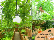 Nhà đẹp - Ông bố Hà Nội trồng rau, nuôi cá trên mái nhà, chia sẻ bí quyết để có “khu vườn trên mây” vừa đẹp vừa xanh