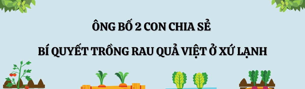 Người đàn ông Pháp chi 300 nghìn đồng/tháng thuê 120m2 đất trồng khu vườn ngập rau củ Việt, nhìn giàn quả treo lúc lỉu mà mê - 7