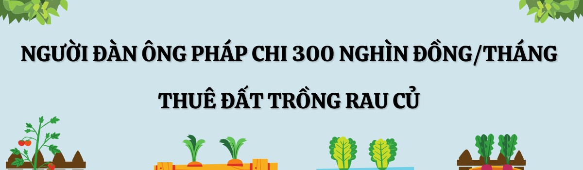 Người đàn ông Pháp chi 300 nghìn đồng/tháng thuê 120m2 đất trồng khu vườn ngập rau củ Việt, nhìn giàn quả treo lúc lỉu mà mê - 2