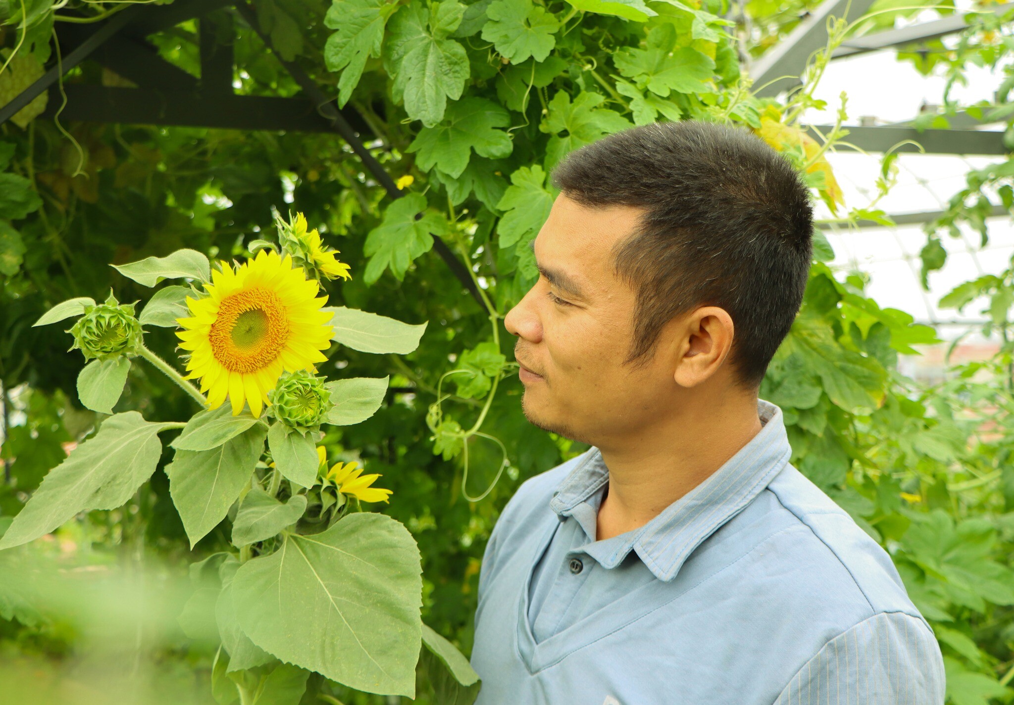 Anh Hà Giang.