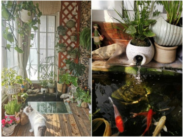 Cô vợ 9X xây ao cá ở ban công, chồng nhìn cảnh sắc 4 mùa mà mê mệt
