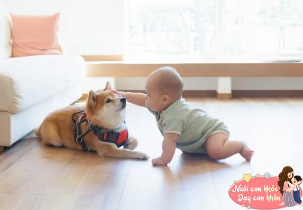 Khi trẻ lớn lên, thú cưng có thể trở thành người bạn trung thành.