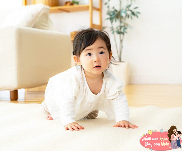 Phát triển vận động thô tốt.