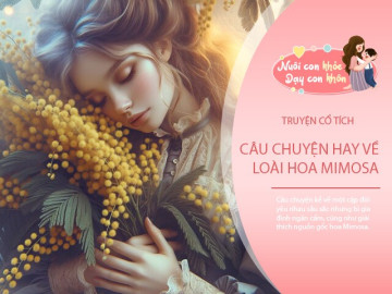 Truyện cổ tích: Sự tích hoa Mimosa