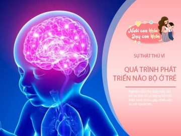 Trẻ không thể nhớ ký ức trước 3 tuổi? 7 sự thật được tiết lộ Kỹ năng quên đáng kinh ngạc của não