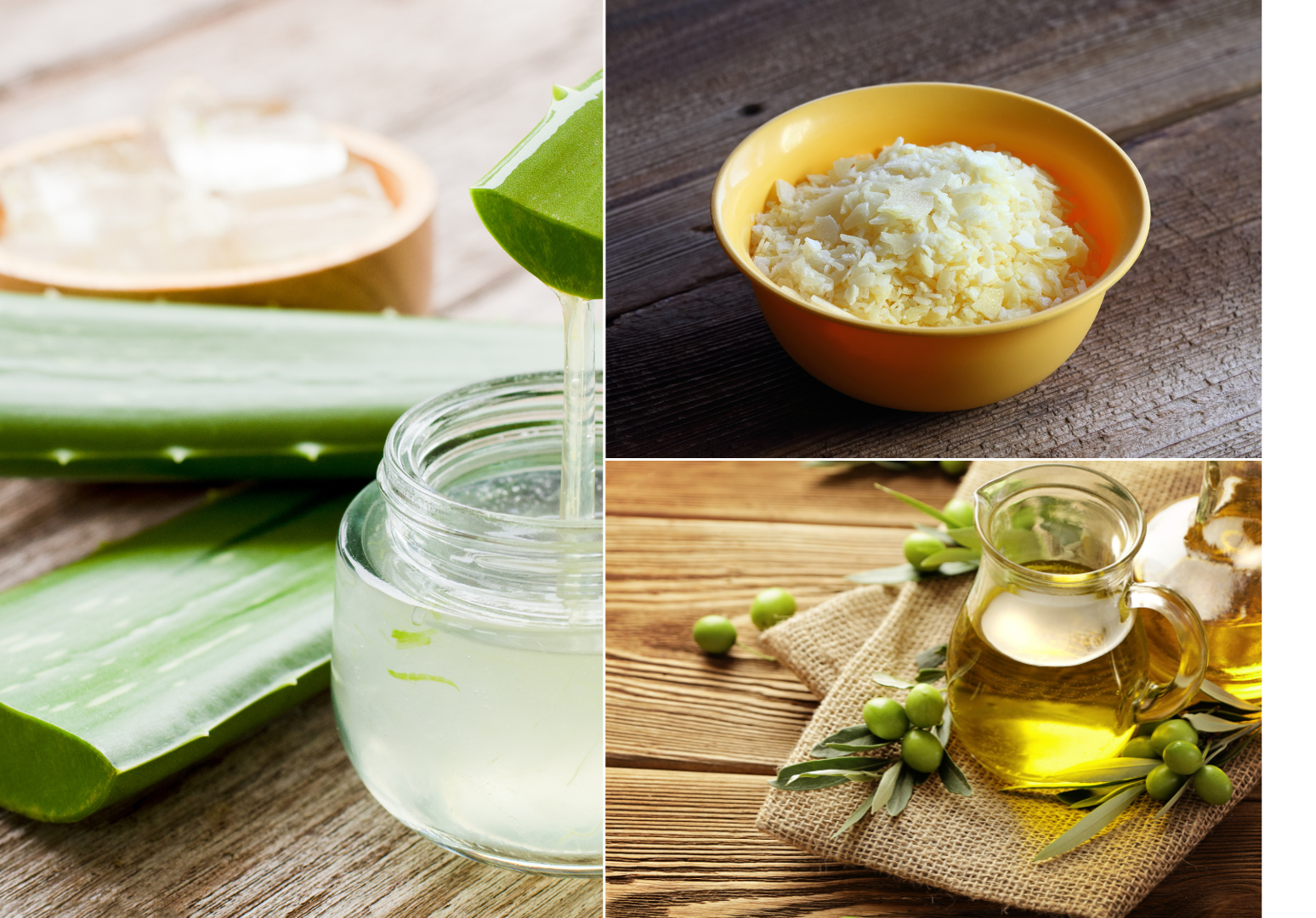 Một số thành phần thiên nhiên giúp dưỡng ẩm môi