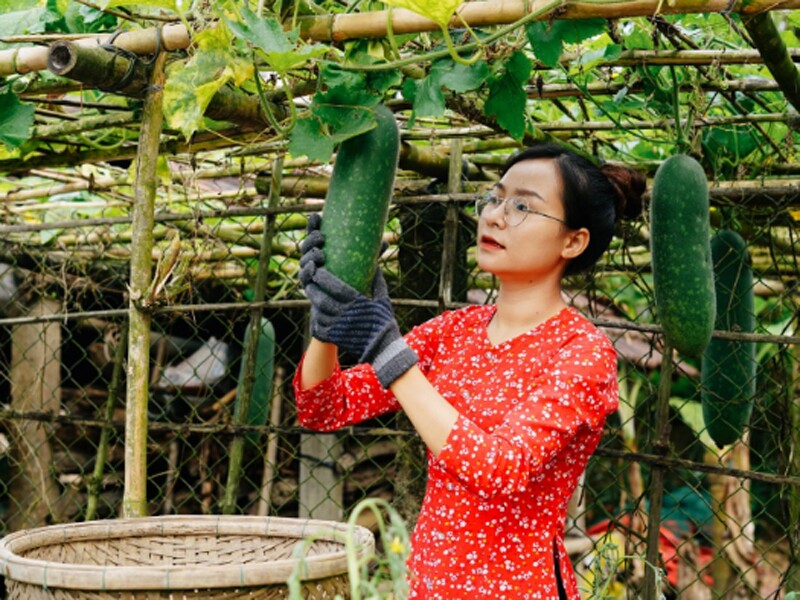 Cư dân mạng yêu thích những thước phim thôn nữ trong trang phục áo bà ba làm vườn, lội bùn bắt cá, cào nghêu hay video cô làm các món ăn truyền thống… Út chia sẻ quyết định "về vườn" giúp em có công việc mới, được nhiều người biết đến, thu nhập ổn. 