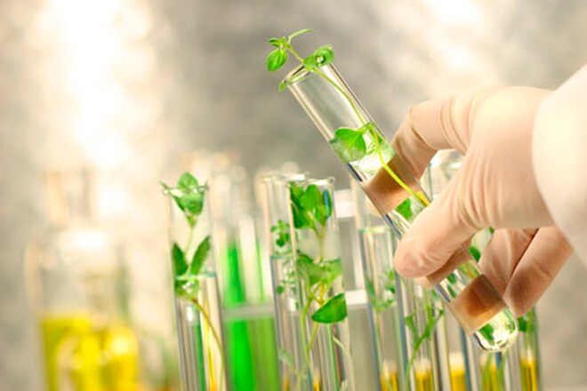 5 ngành học triển vọng cho sinh viên mới ra trường: Luôn amp;#34;khátamp;#34; nhân lực chất lượng cao, mức lương hấp dẫn - 3