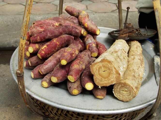 Củ sắn dây luộc sẵn được bán ở các tuyến phố của Hà Nội