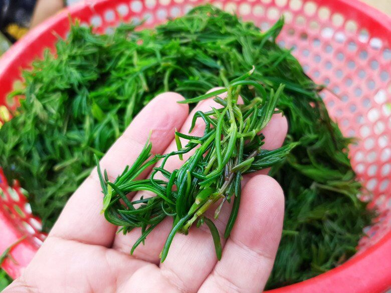 Cây dại mọc bờ bụi có tên rất lạ, nay thành đặc sản dân thành phố ưa chuộng vì hương vị đặc biệt, 100.000 đồng/kg - 4