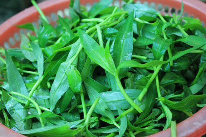 Theo quan niệm của dân gian, rau trai được sử dụng như một bài thuốc chữa một số bệnh