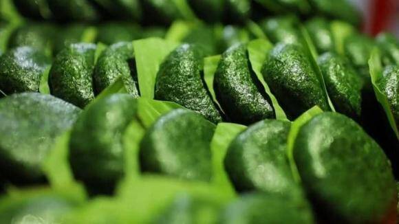 Cây mọc dại ở ven đường, có vị đắng nhưng làm thành nhiều món đặc sản nổi tiếng, tốt cho sức khoẻ - 2