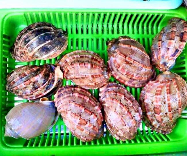 Đặc sản có tên rất lạ xưa không ai biết đến nay dân thành phố săn lùng hương vị đặc biệt - 1