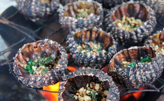 Loài này có thịt thơm ngon, được chế biến thành nhiều món đặc sản nổi tiếng