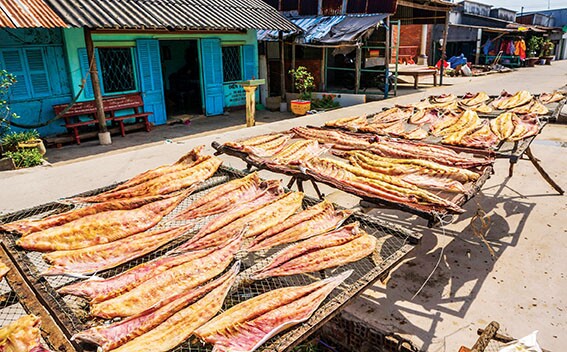 Đặc sản nổi tiếng tên vô cùng lạ mỗi năm chỉ có một mùa dân thành phố ưa chuộng vì hương vị đặc biệt - 2