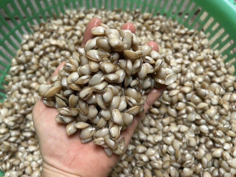 Đặc sản tên vô cùng lạ, mỗi năm chỉ có một mùa, nay dân thành phố ưa chuộng vì hương vị đặc biệt, 150.000 đồng/kg - 2