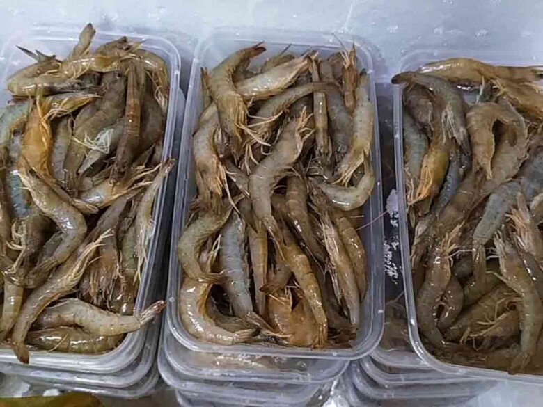 Hiện nay nhiều người mua tôm chỉ về chế biến món ăn