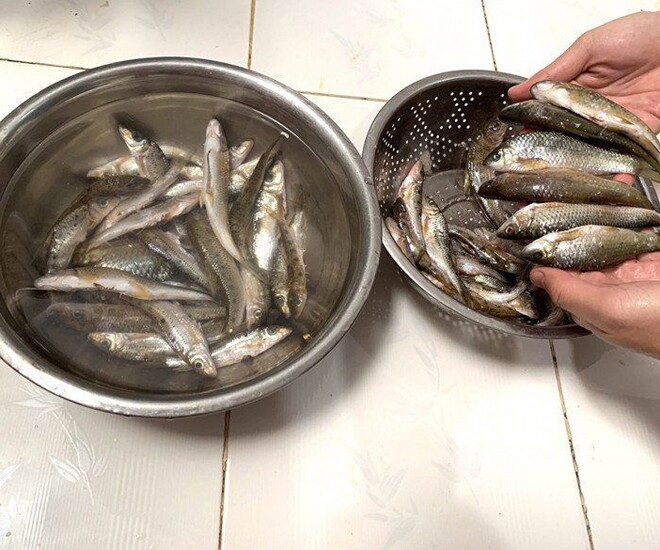 Cá suối Pja Mẳn sống ở các khe suối, ăn rong rêu nên đây là loài cá sạch, được ví như lộc trời ban cho người dân ở Cao Bằng