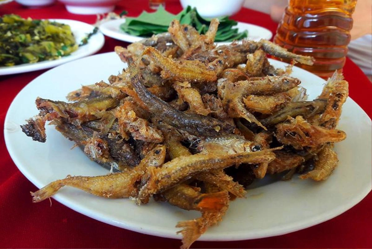 Mất năm nay cá Pja Mẳn được người thành phố săn lùng 