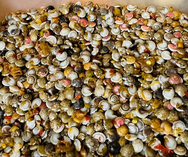 Ốc ruốc là đặc sản ở miền Trung