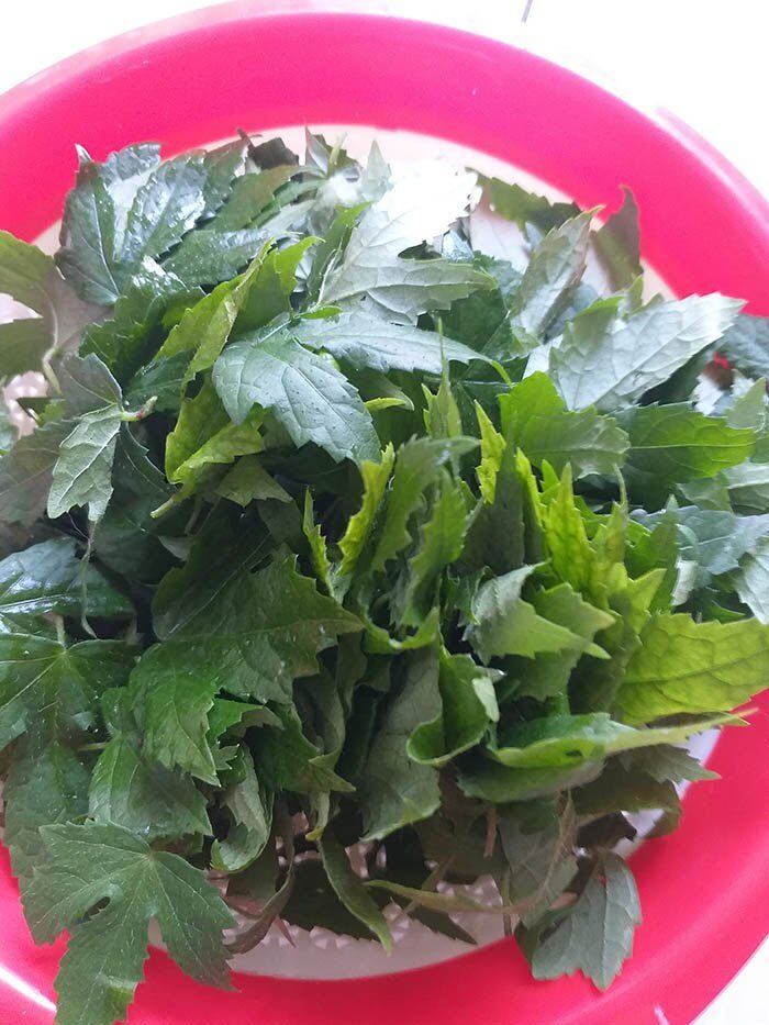 Canh lá bông vang chua chua, ngọt ngọt không hề bị gắt.