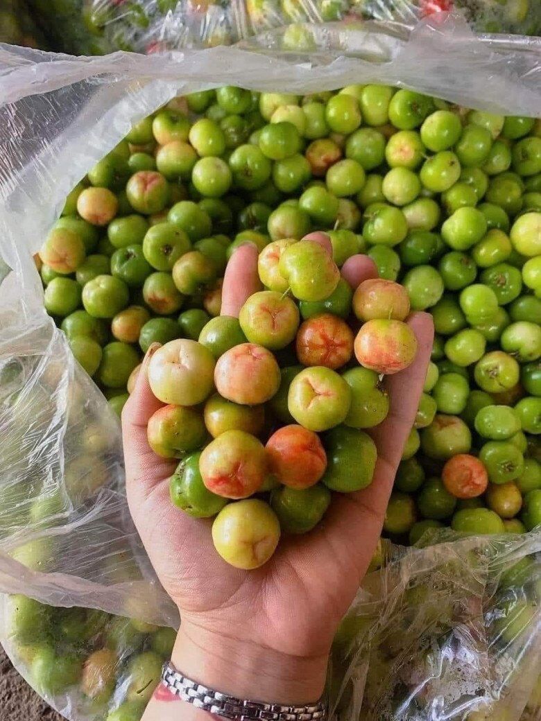 Loại quả dại xưa rụng đầy không ai ngó ngàng, giờ thành món đặc sản khoái khẩu ở thành phố, tốt cho sức khoẻ - 2