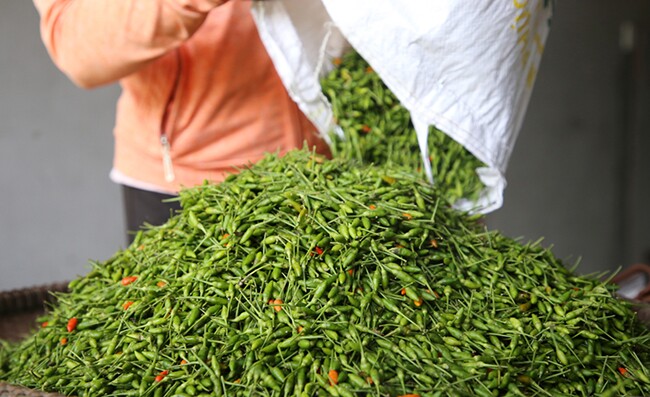 Loại quả có tên lạ xưa không ai biết đến, giờ thành đặc sản có hương vị đặc biệt, dân thành phố ưa chuộng - 2