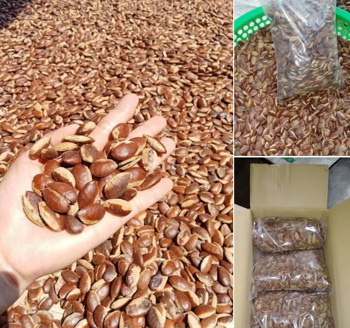 Hạt kơ nia là sự lựa chọn của nhiều chị em vào dịp Tết Nguyên đán