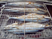 Đặc sản nổi tiếng Quảng Bình có tên rất lạ, nay dân thành phố săn lùng vì hương vị đặc biệt, ít người được thưởng thức