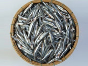 Đặc sản mỗi năm chỉ có hai mùa, xưa không ai ăn nay dân thành phố ưa chuộng giá 200.000 đồng/kg, chứa nhiều dưỡng chất