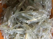 Tiêu dùng - Đặc sản có tên vô cùng lạ, xưa không ai ăn nay được dân thành phố ưa chuộng vì hương vị đặc biệt, 200.000 đồng/kg