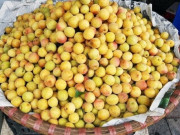 Tiêu dùng - Loại quả xưa không ai ăn, giá rẻ như cho nay thành đặc sản dân thành phố "săn lùng", 200.000 đồng/kg